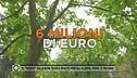 Il "verde" Sala non trova spazio per gli alberi, persi 12 milioni