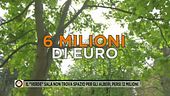Il "verde" Sala non trova spazio per gli alberi, persi 12 milioni