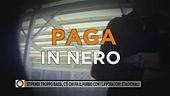 Stipendi troppo bassi, c'è chi fa il furbo con i lavoratori stagionali