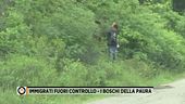 Immigrati fuori controllo - I boschi della paura