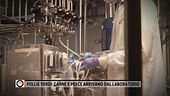 Follie verdi: carne e pesce arrivano dal laboratorio