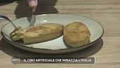Le lobby che vogliono il cibo artificiale