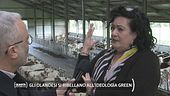 Gli olandesi si ribellano all'ideologia green