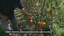 L'Europa green all'attacco del cibo italiano