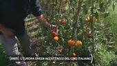 L'Europa green all'attacco del cibo italiano