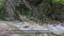 Follie green, la rana che blocca l'acquedotto