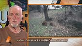 Liliana Resinovich: il marito Sebastiano e il giallo dei cinghiali