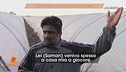 Saman Abbas: le dichiarazioni dello zio Danish