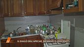 Il giallo dell'Apecar: all'interno della casa di Grazia Prisco
