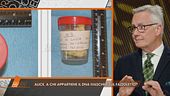 Il caso di Alice Neri: a chi appartiene il DNA maschile sul fazzoletto?