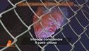Il giallo di Lilly: l'opinione di Claudio sulla chiamata