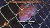 Il giallo di Lilly: l'opinione di Claudio sulla chiamata