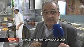 Entomologia da gourmet