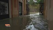 La conta dei danni in Emilia, e non solo...