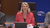 L'Europa pensa al conflitto ucraino