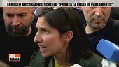 Famiglie arcobaleno, Schlein: "Pronta la legge in parlamento"