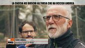 La caccia nei boschi all'orsa che ha ucciso Andrea