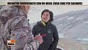 Incontro ravvicinato con un orso: cosa fare per salvarsi