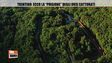 Trentino: ecco la "prigione" degli orsi catturati