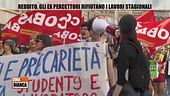 Reddito, gli ex percettori rifiutano i lavori stagionali