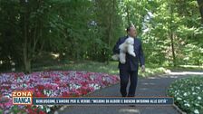 Silvio Berlusconi, l'amore per il verde