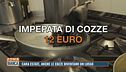Cara estate, anche le cozze diventano un lusso