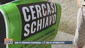 Non si trovano stagionali: c'è chi ne approfitta?