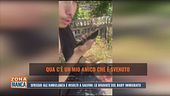 Sfregio all'ambulanza e insulti a Salvini: la bravata del baby immigrato