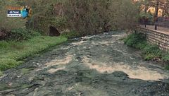 Puntata dell'1 gennaio