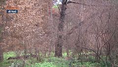 Puntata del 15 gennaio