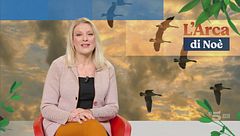 Puntata del 12 febbraio