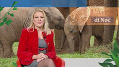 Puntata del 19 febbraio