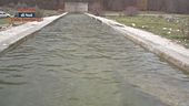 Cercasi acqua