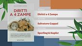 Il Can-piello