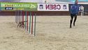 Le finali di sport cinofili