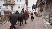 A spasso coi lama