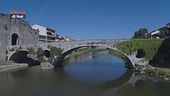 Prato città pet friendly