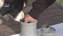 L'educa-cani: il Nosework