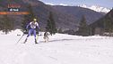 Cane atleta