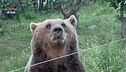 Un'importante iniziativa del Parco della Majella