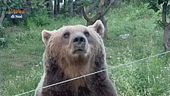 Un'importante iniziativa del Parco della Majella