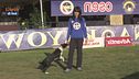 L'Educa-cani