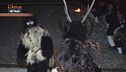 Il carnevale europeo delle maschere zoomorfe