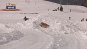 Arrivano i nostri!