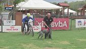 L'educa-cani