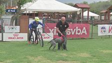 L'educa-cani