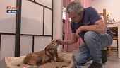 Un aiuto reciproco
