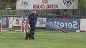 L'Educa-cani