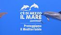 C'è di mezzo il mare - Proteggiamo il Mediterraneo