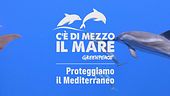 C'è di mezzo il mare - Proteggiamo il Mediterraneo